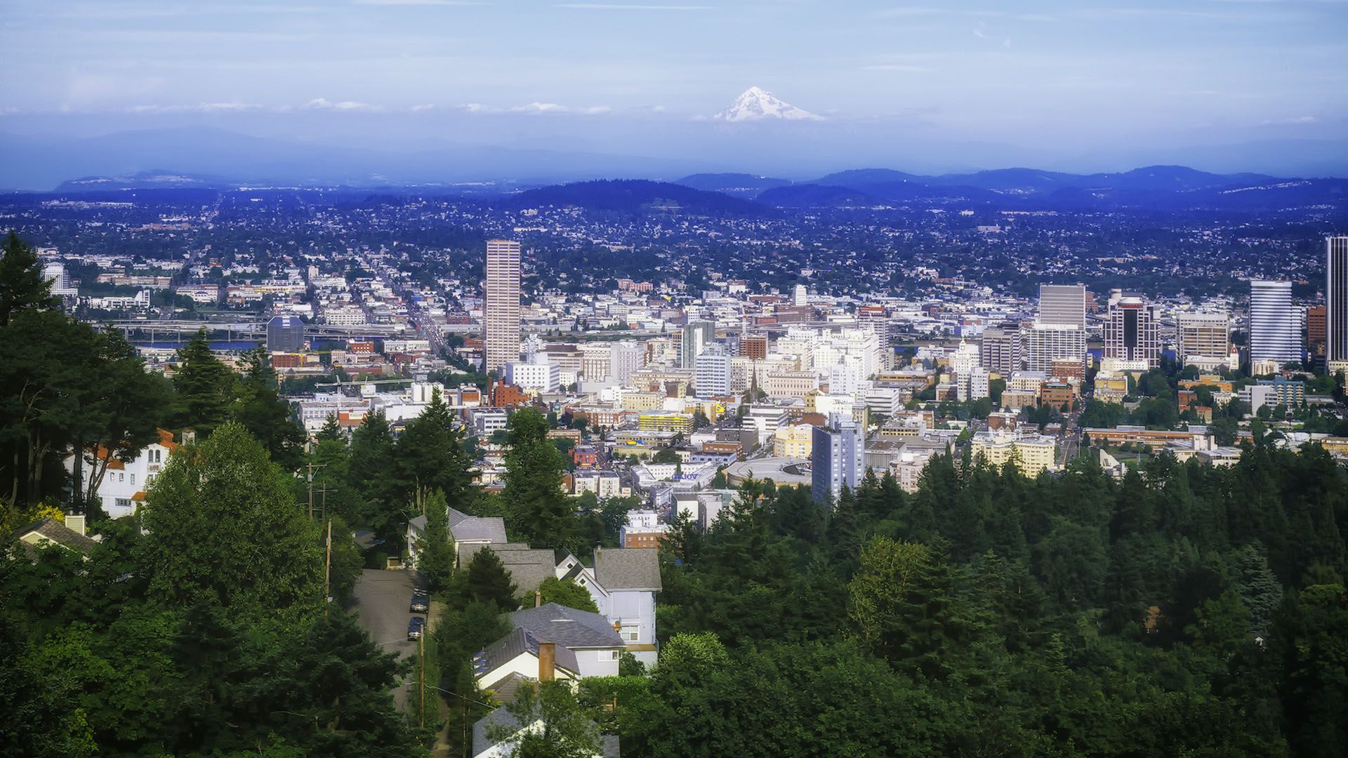 Volkswagen repair, Audi repair, and Subaru Repair Portland OR